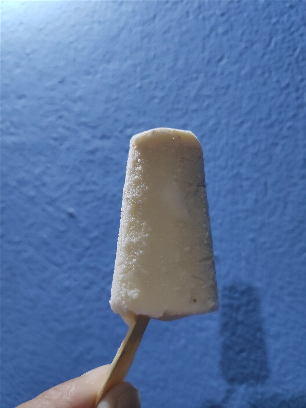 Kulfi, dense Indian frozen milk dessert
